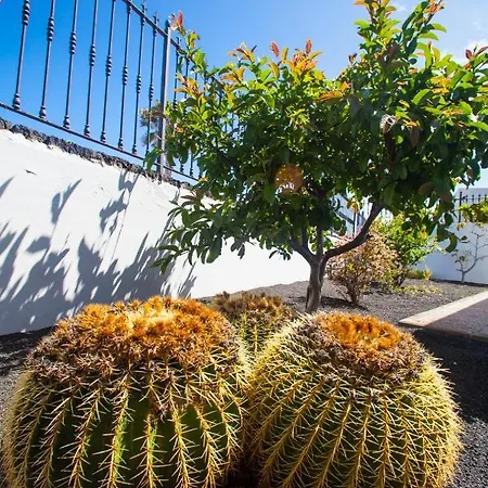 Alizuth * Пуэрто дель Кармен